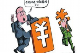 西双版纳遇到恶意拖欠？专业追讨公司帮您解决烦恼